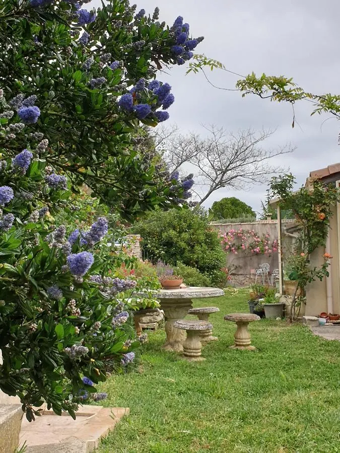 Pause Couleur Lavandula Roussas 0*,